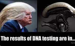Image result for DNA Test Results Meme