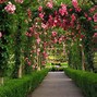 Image result for 1080P Flower Garden Wallpaper