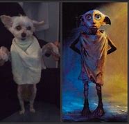 Image result for Harry Potter Dobby Dog Costume