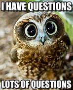 Image result for So Many Questions Animal Meme