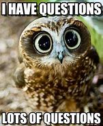 Image result for I Have a Question Animal Meme