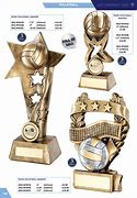 Image result for Volleyball Trophy Ideas in Izmir