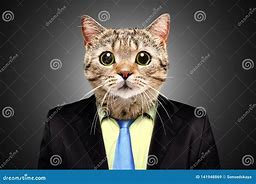 Image result for Business Suit Cat