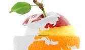 Image result for Apples and Oranges Idioms