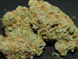 Image result for Ghost Train Haze Strain