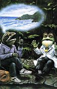 Image result for Diamond Painting Doctor and Frog