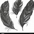 Image result for Crazy Crow Feather Fan Case