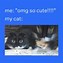 Image result for Funny Cat Memes 1080X1080
