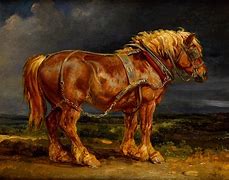 Image result for Free Ride Horse