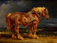 Image result for Dressage Horse Art