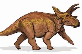 Image result for Anchiceratops