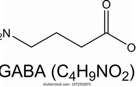 Image result for GABA Neurotransmitter Simple