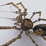 Image result for Steampunk Spider