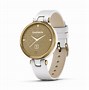 Image result for Garmin Lily Rose Gold with White Band