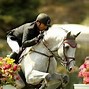 Image result for Black Horse Show Jumping