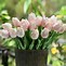 Image result for Real Pink Tulips
