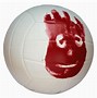 Image result for Wilson Volleyball Ball
