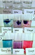 Image result for Ph Lab with Cabage