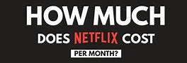 Image result for Netflix How Much per Month