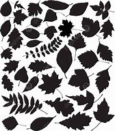 Image result for Sihouettes of Brambles