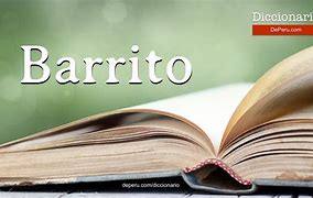 Image result for barrito