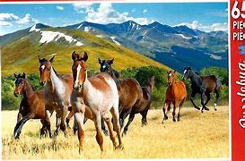 Image result for Wild Horses Jigsaw Puzzle