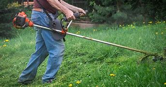 Image result for Brush Cutter