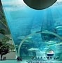 Image result for Futuristic Floating City