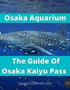 Image result for Osaka Aquarium Kaiyukan Entrance Fee