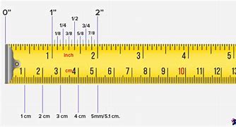 Image result for 5 Foot 8 in Cm