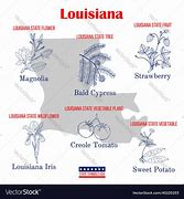 Image result for Louisiana State Symbols