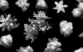 Image result for Snowflake Research