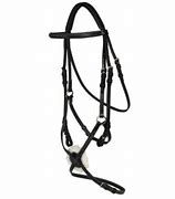 Image result for Figure 8 Bridle