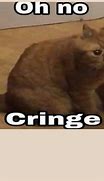 Image result for OH No Cringe Cat Meme