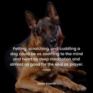 Image result for German Shepherd Quotes