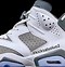 Image result for White and Grey 6s