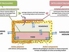 Image result for Multiple Packaging Solutions