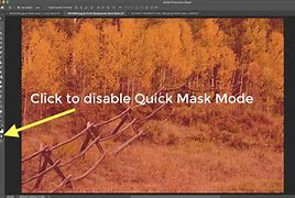 Image result for Paint Fill Photoshop