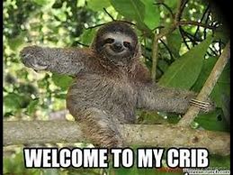 Image result for Sid the Sloth Funny