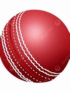 Image result for Cricket Cell Phone Raton New Mexico Store