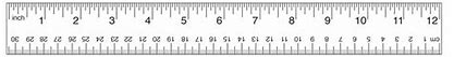 Image result for Life-Size Picture of Nine Inches On a Ruler