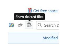 Image result for Show Deleted Files