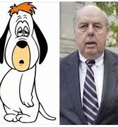 Image result for Droopy Face Dog