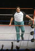 Image result for Andre the Giant Sports