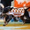 Image result for Tennessee Vols Football Mascot