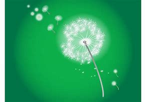 Image result for Dandelion in Air Vector