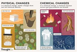 Image result for Chemical and Physical Reactions