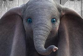 Image result for Dumbo Big Ears