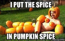 Image result for Funny Cat Pumpkin Memes