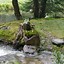 Image result for Moss Sculpture Garden